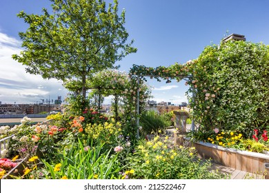 Roof Top Garden With Plants And Flowers