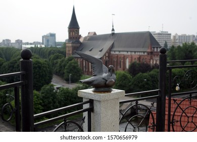 Roof Top Wiew On Königsberg Cathedral In Summer Knipehof