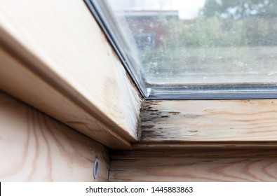 Roof Window After Leaking, Wood Is Starting To Rot