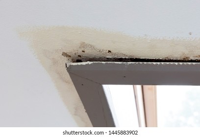 Repairing Ceiling Water Damage In 3 Steps Www Handyman Goldcoast Com Repair Ceilings Remodeling Mobile Homes Home Repairs