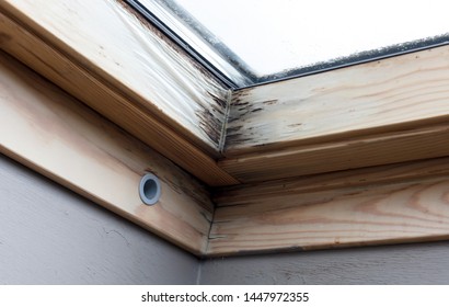 Roof Window After Leaking, Wood Is Starting To Rot