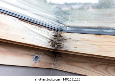 Roof Window After Leaking, Wood Is Starting To Rot