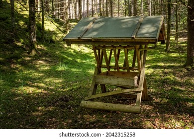 Roofed empty feeding manger made of wood in an idyllic forest in summer