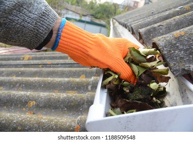 Roofer Cleaning With Hand  Roof Gutter From Fallen Leaves And Dirt In Fall.