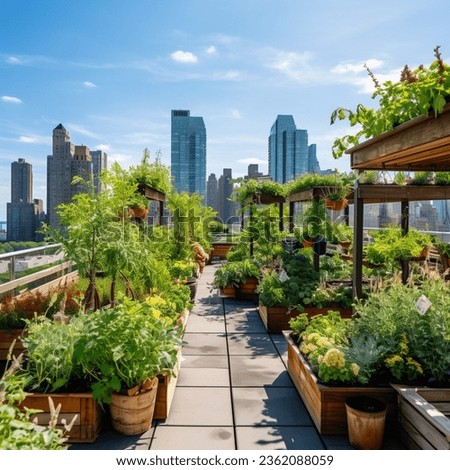 A rooftop garden in a bustling city, filled with vegetables and herbs