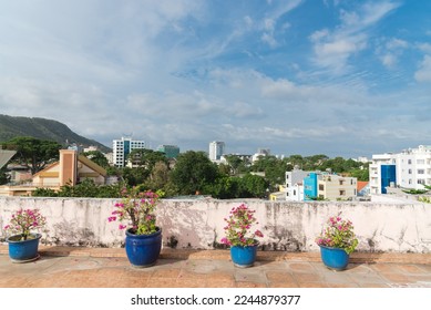 Rooftop garden with colorful flower pots and city buildings, mountain background in Vung Tau, Vietnam. Blossom Bougainvillea glabra and frangipani flowers in terrace planters sunny cloud blue sky - Shutterstock ID 2244879377