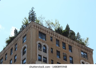 Rooftop Garden On A Sunny Day; Upper West Side, New York