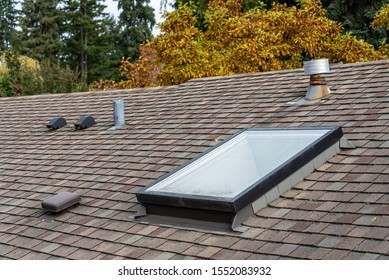 Rooftop view of residential asphalt shingle roof, skylight, roof vents, fall foliage in background
