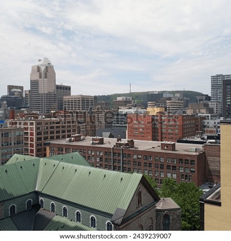 Rooftops of mtl in the summer
