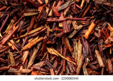 Rooibos (Aspalathus linearis). called red tea, bush tea, or redbush tea.  - Shutterstock ID 2250085545