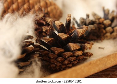 Room decoration -  pinecone with cotton balls