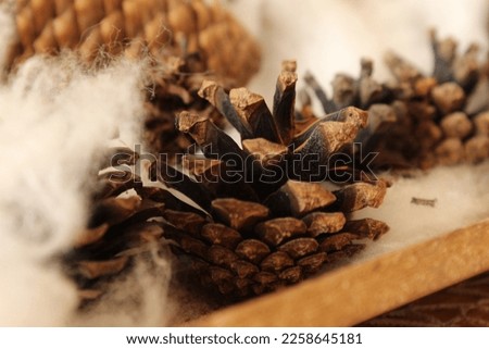 Room decoration -  pinecone with cotton balls