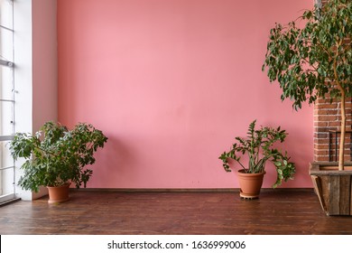 Room Interior With Pink Stucco Wall And Wooden Floor