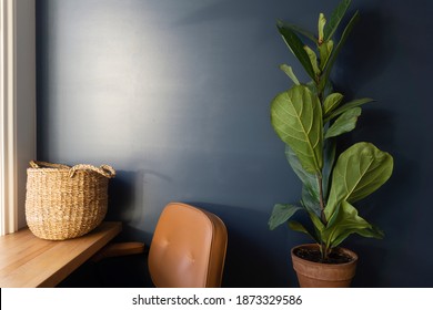 Room interior with work desk and blue wall. Green plant or flower in the interior of the room against the background of a blue wall.