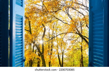 Room With Open Blue Window Shutters To - Fall Garden With Yellow Leaves And Green Grass