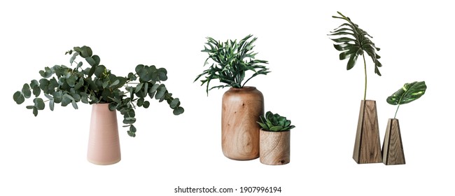 Room plants on a white background. Easy to cut out house plants in modern pots. Collection of isolated home green plants. - Shutterstock ID 1907996194