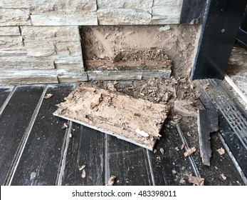 Room That Termite Damage