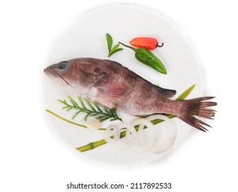Rooster hind grouper or Pink Grouper decorated on a white plate.Selective focus.
