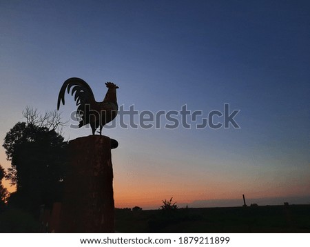 rooster on a post sunset