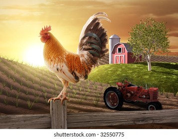 Rooster perched upon a farm fence post as the sun rises behind him - Powered by Shutterstock