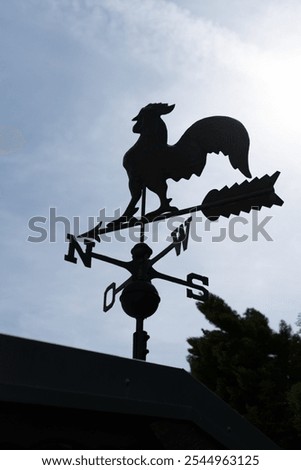 rooster pointing in direction NESW