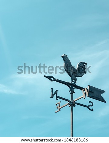 Rooster weather vane with the clear sky background.