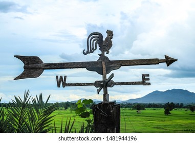 The rooster weather vane in the field - Powered by Shutterstock