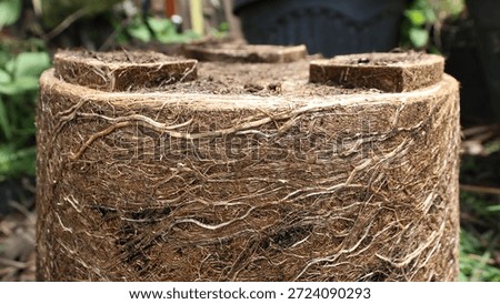 The root bound model occurs when the plant roots grow too much and fill the pot space.