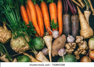 Root crops, carrots, parsley root, turnip, onion, garlic, Jerusalem artichoke, horseradish. Root crops background. Food background - Shutterstock ID 750895588