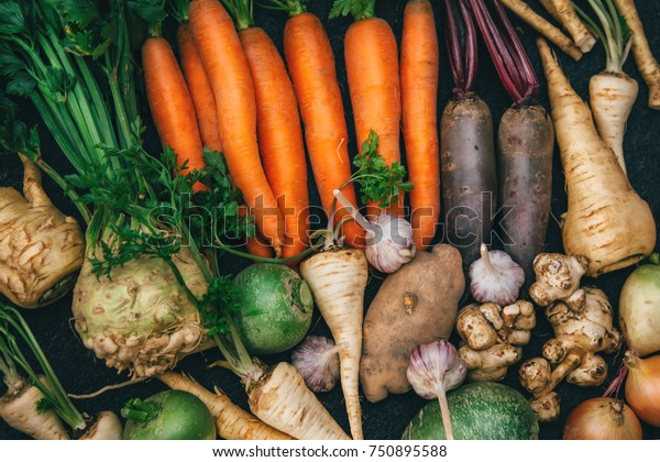 Root crops, carrots, parsley root, turnip,\
onion, garlic, Jerusalem artichoke, horseradish. Root crops\
background. Food\
background