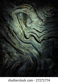 Root Darkness Texture Stock Photo 27271774 | Shutterstock