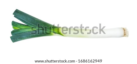 root of fresh leek with greens cutout on white background