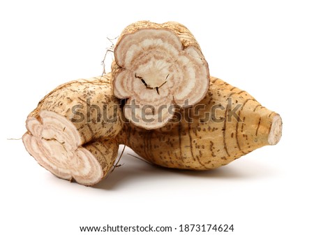 Root of kudzu vine,puerarin Isolated on a white background 