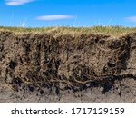 Root and soil layers on edge of pasture drop off