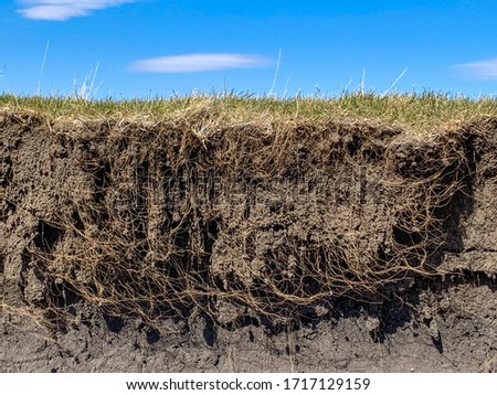 Root and soil layers on edge of pasture drop off