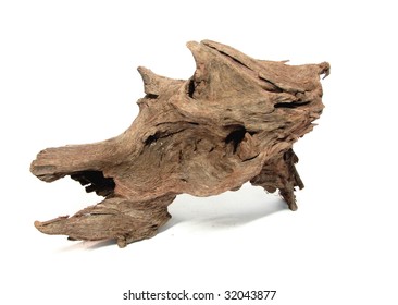 22,186 Tree Stump With Roots Images, Stock Photos & Vectors 