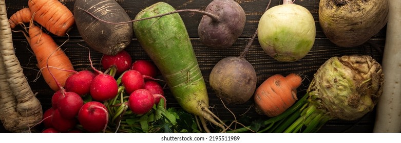 Root vegetables on a wooden background, different types of radish with beetroot and parsley and carrots, organic farm vegetables banner