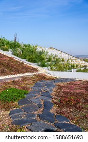 Root Zone Waste Water Sewage Treatment Plant On The Extensive Green Ecological Living Sod Roof 