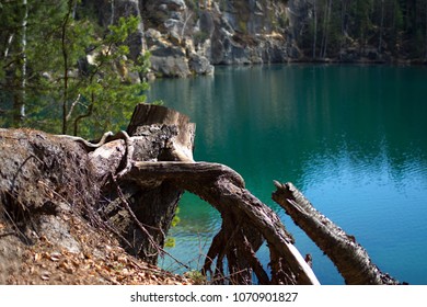 The Roots of the Death Tree in the Foreground of the Blue Green Lake with Pure Water in the Resort of the Adrspach Teplice Mountain, Czech Republic near Boarder with Poland