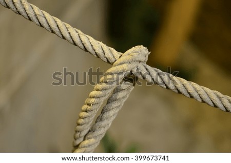 The rope