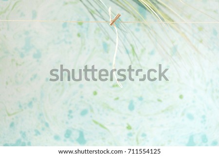 Similar – Garden flowers frame background with scissors