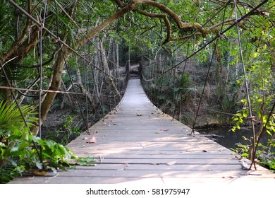 Rope Bridge Aerial View At Khao Yai National Park, Thailand.