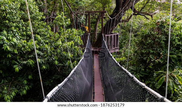 Rope Bridge in\
Borneo\
Rainforest-Malaysia\
