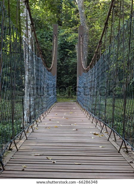 Rope bridge in the\
forest.