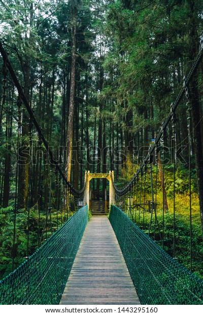 Rope bridge to\
the forest in Alishan National Forest Recreation Area in Chiayi\
County, Alishan Township,\
Taiwan.