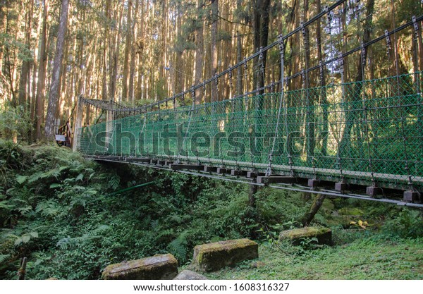 Rope bridge to\
the forest in Alishan National Forest Recreation Area in Chiayi\
County, Alishan Township,\
Taiwan.