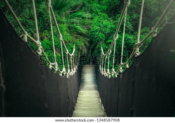 rope\
bridge in the jungle, wooden planks and dark ropes, bright green\
greens, a bridge between the trees in the\
park