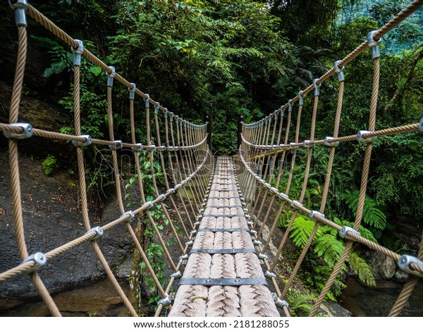 Rope\
bridge on hiking trail in summer sunshine,\
Taiwan