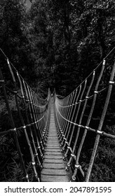 A Rope Bridge Over The Water In A Forest.