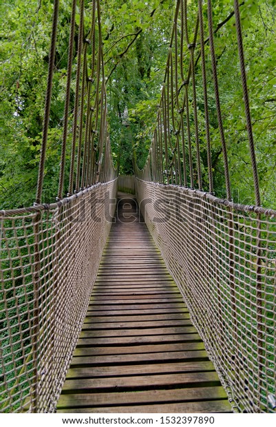 Rope bridge to the\
tree house at Alnwick Gardens, Northumberland - United Kingdom. 8th\
of August 2019
